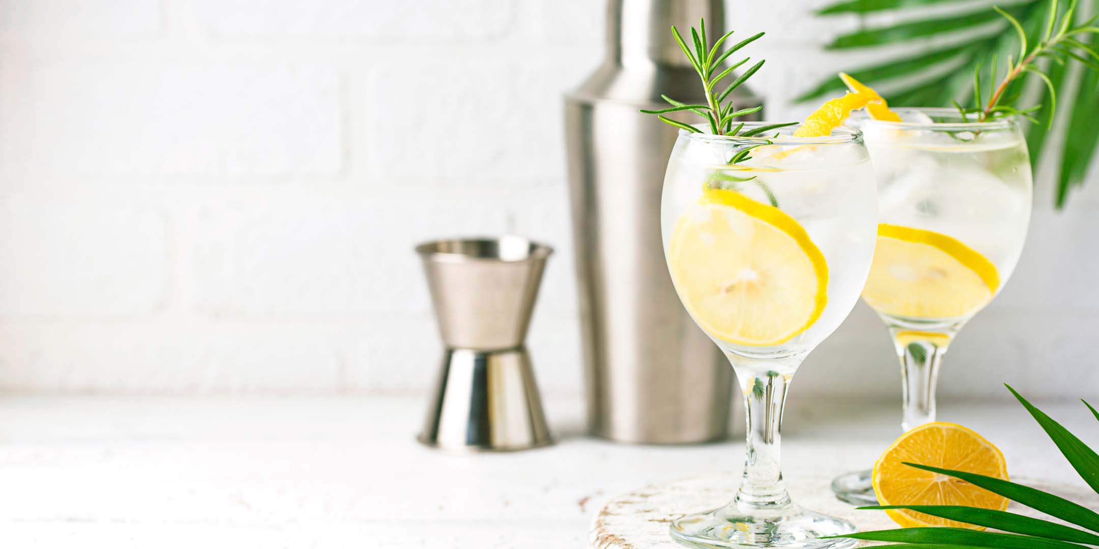 Two refreshing non-alcoholic cocktails with lemon slices and rosemary garnish in stemmed glasses, set on a white surface with a cocktail shaker, jigger, and tropical leaves in the background.