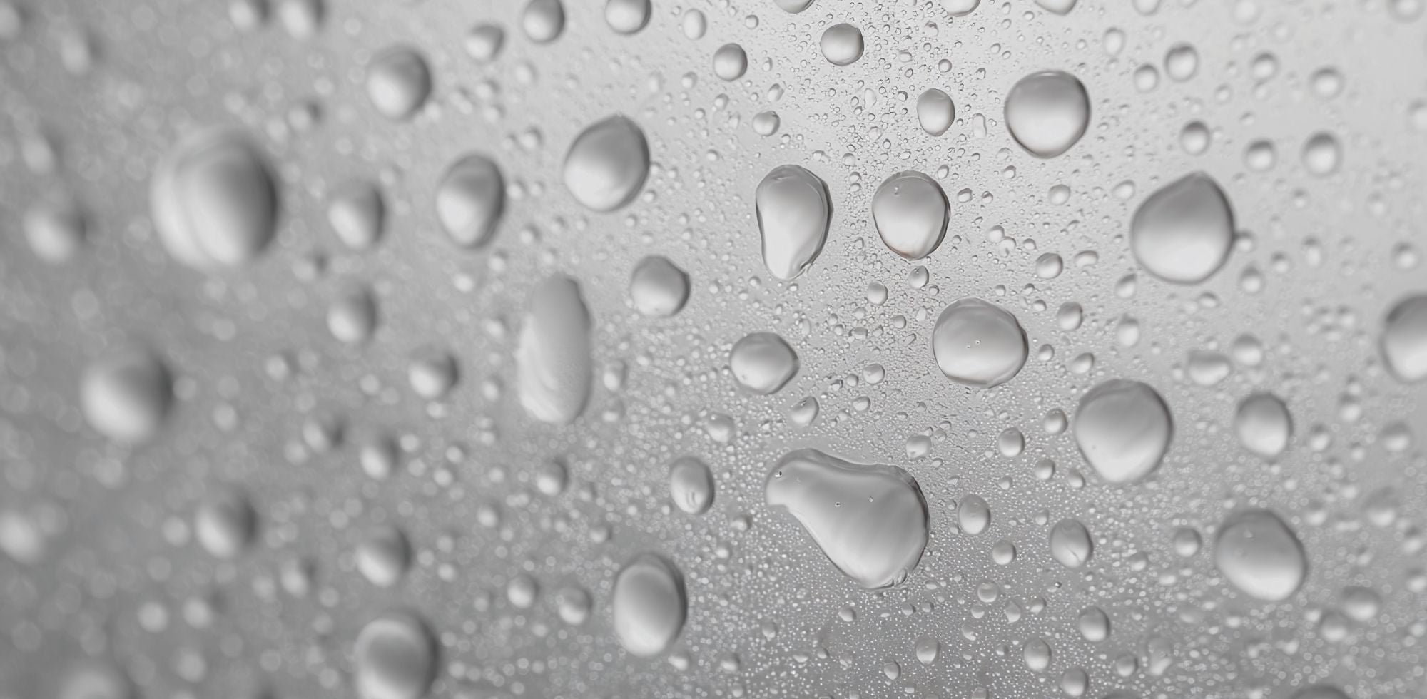 Ready-to-Drink Cocktails